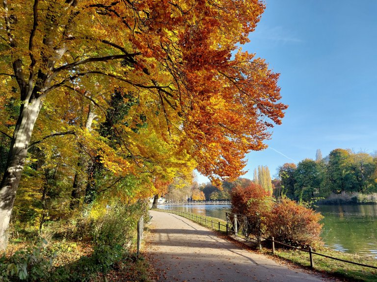 Herbst im englischen Garten
